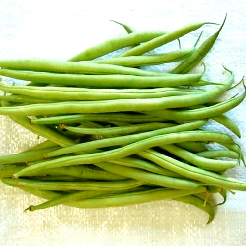 min. 60 seeds / 25 grams French climbing bean ‘Cobra’ ORGANIC Sow up to July!