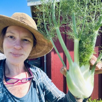 Fennel - Selma Fino