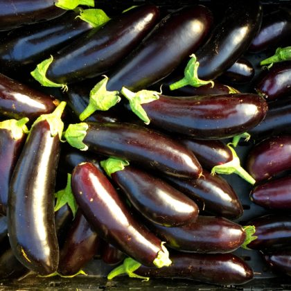 Organic, Non-GMO Eggplant Seed