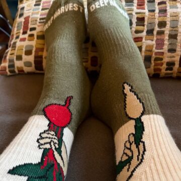 Organic Cotton Socks