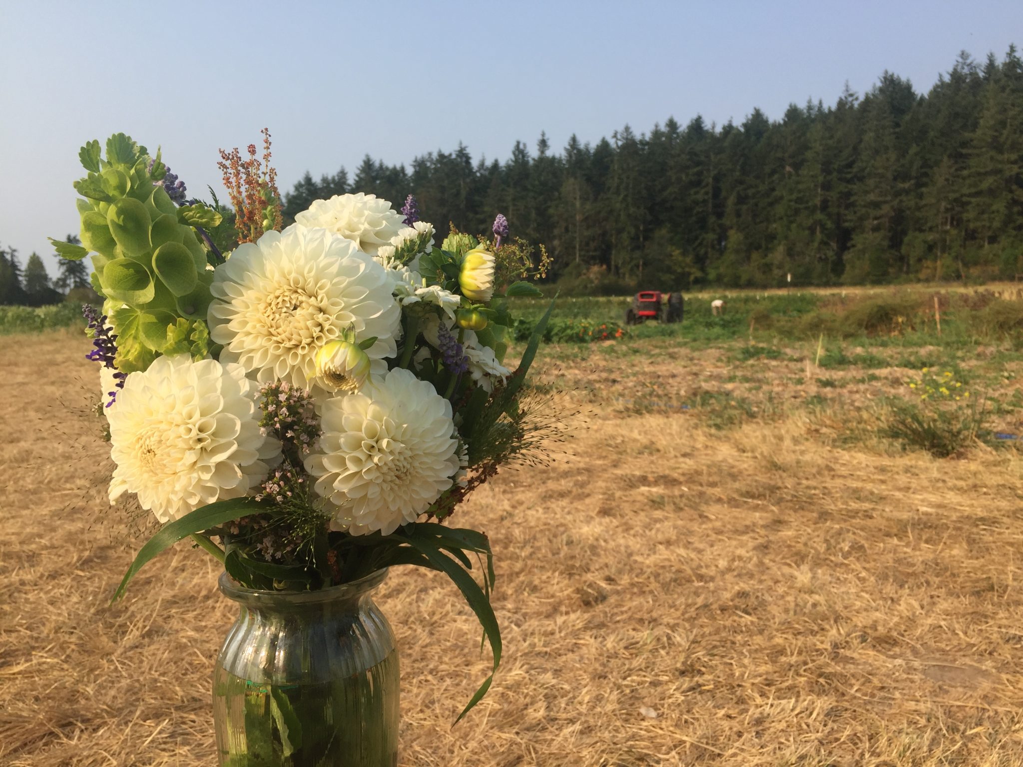 Whidbey Wedding Flowers